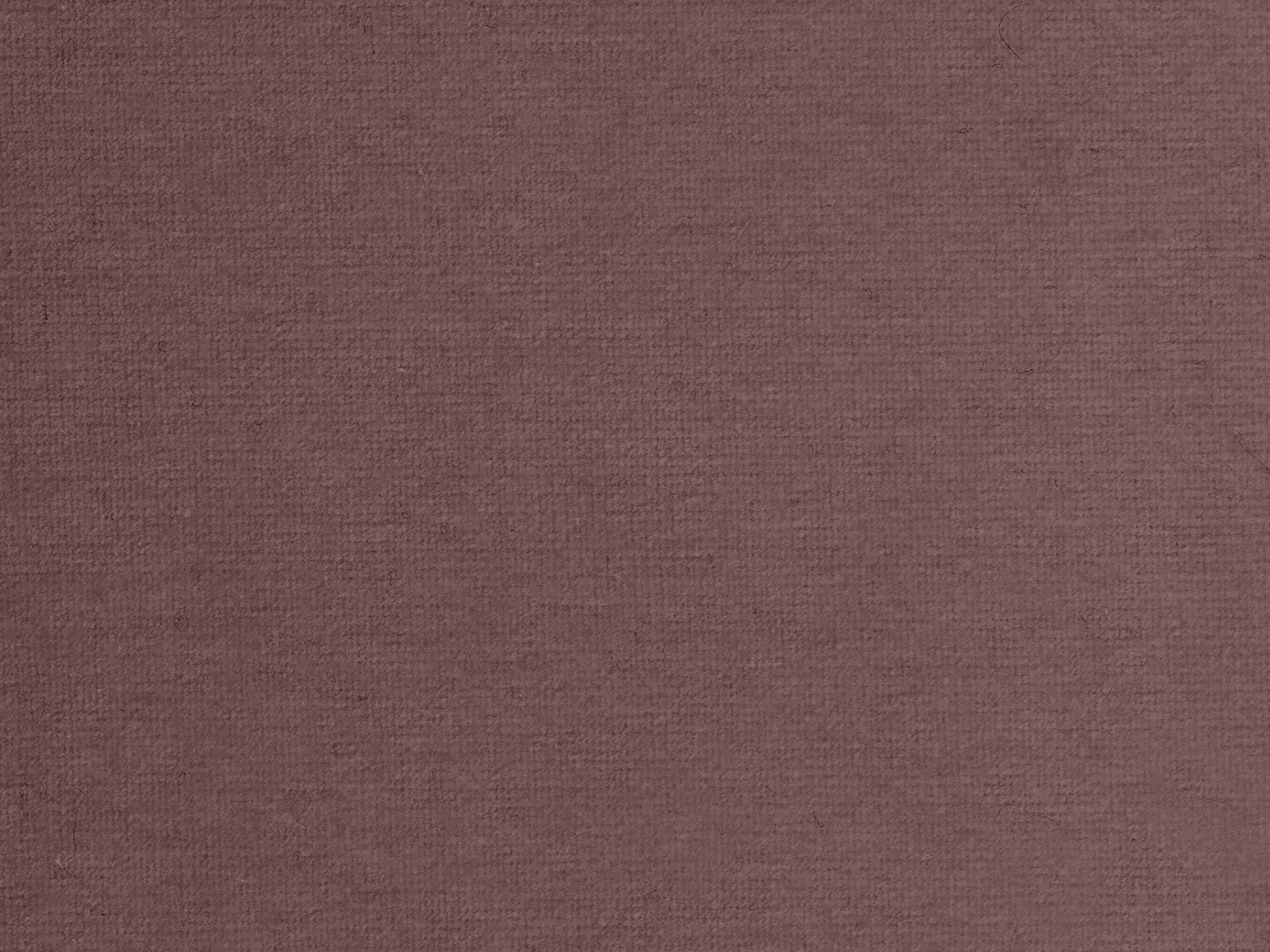 zoom colori RIVE GAUCHE lilas, mauve, rose